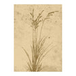 Plant art Poster 30x40 Venture Design Pynteartikler