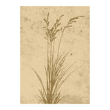 Plant art Poster 70x100 Venture Design Pynteartikler