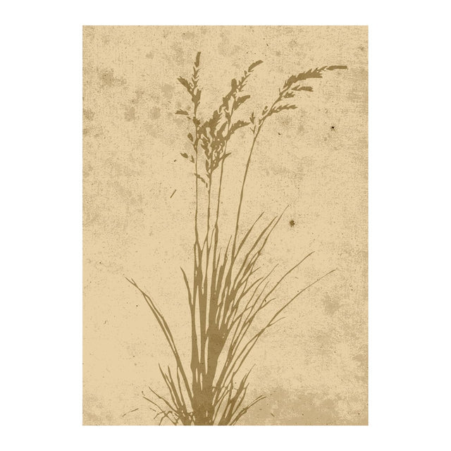 Plant art Poster 70x100 Venture Design Pynteartikler