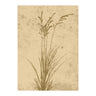 Plant art Poster 70x100 Venture Design Pynteartikler