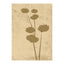 Flower art Poster 50x70 Venture Design Pynteartikler
