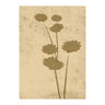 Flower art Poster 70x100 Venture Design Pynteartikler