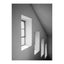 Widows Poster 50x70 Venture Design Pynteartikler