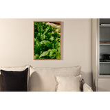 Gree leaf Poster 30x40 Venture Design Pynteartikler