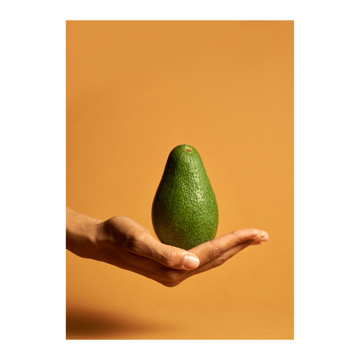 Avocado Poster 70x10 Venture Design Pynteartikler