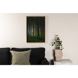 Woods Poster 21x30 Venture Design Pynteartikler