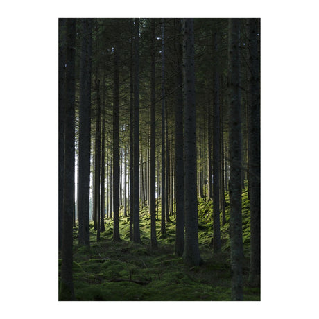 Woods Poster 70x100 Venture Design Pynteartikler