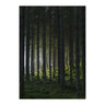 Woods Poster 70x100 Venture Design Pynteartikler