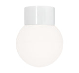 Globe 150 Matt Opal Taklampe/Vegglampe E27 IP54