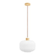 Argalo Pendel House Nordic Varetype