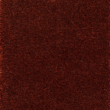 Astoria Accent Golvabia Teppe