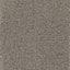Astoria Accent Golvabia Teppe