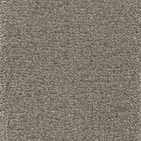 Astoria Accent Golvabia Teppe