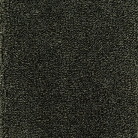 Astoria Accent Golvabia Teppe