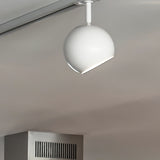 TRACKLINE BALL spotlight