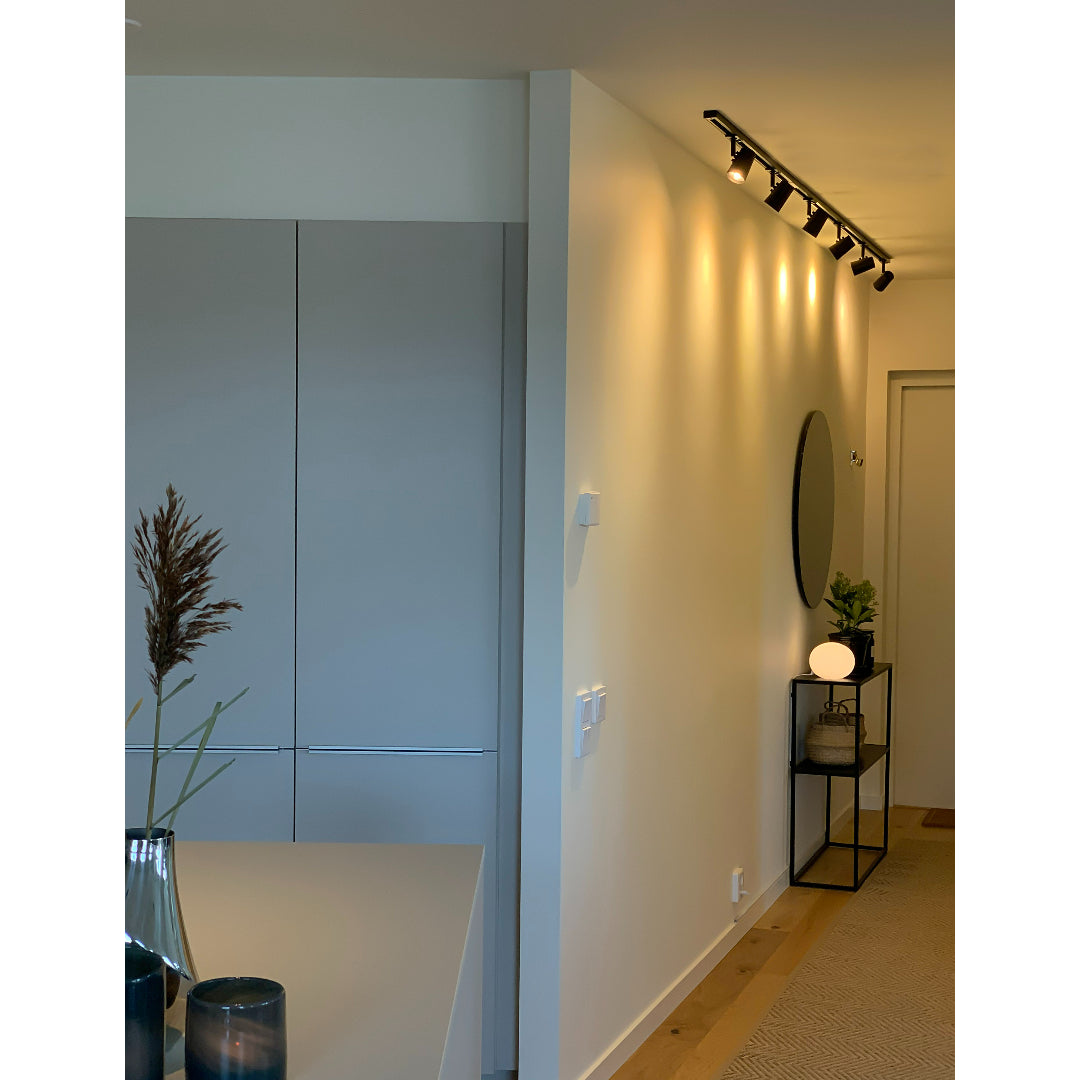 TRACKLINE Cone spot