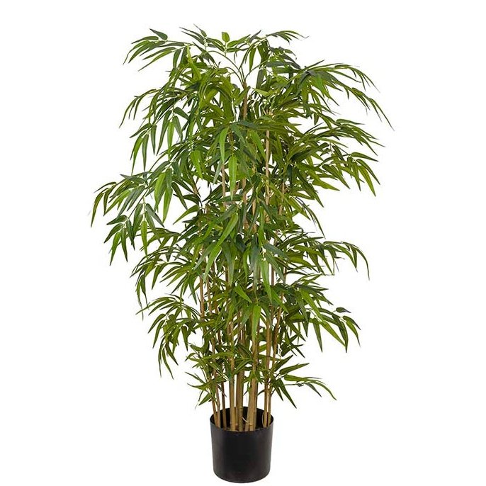 Bambusbusk