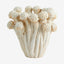 FUNGI keramisk vase - h19 cm - offwhite Nordal INDOOR POT