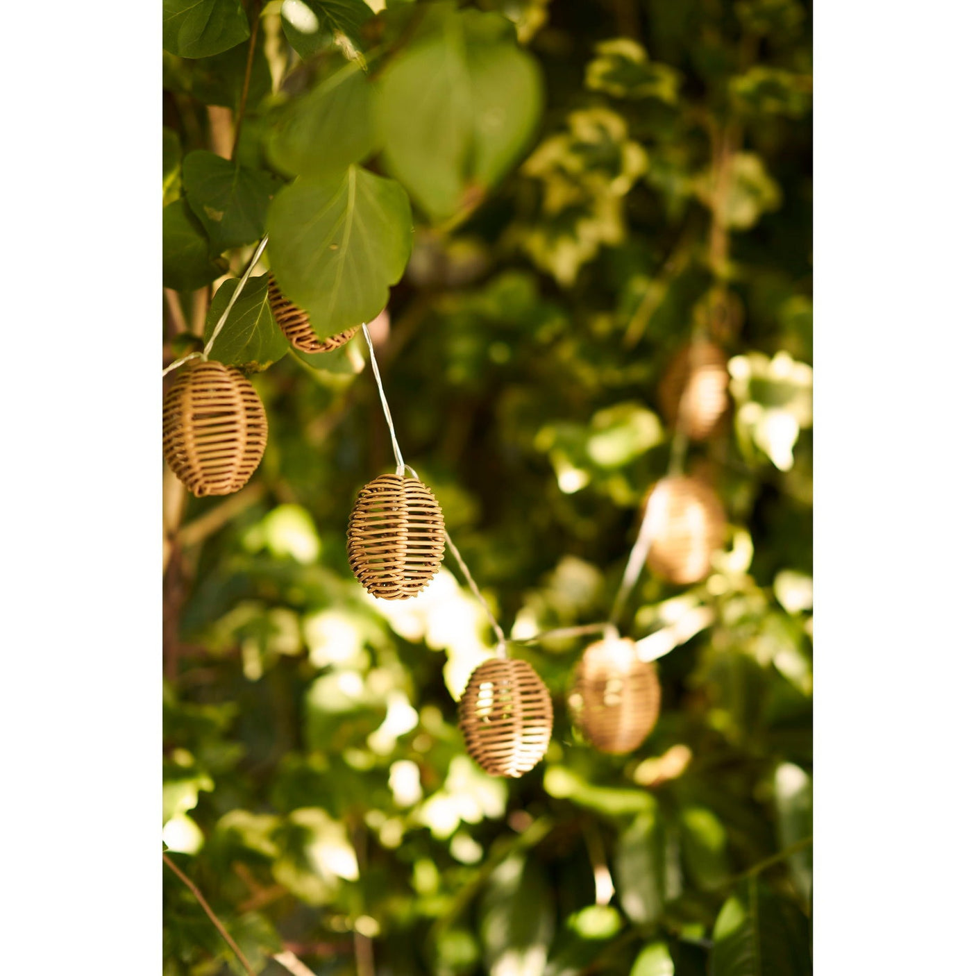 Carlisle LED lyslenke House Nordic LED