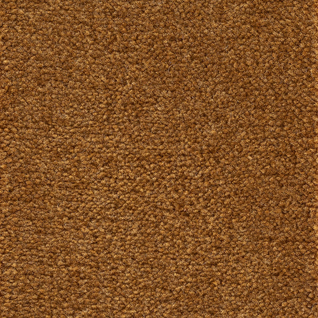Astoria Accent Golvabia Teppe