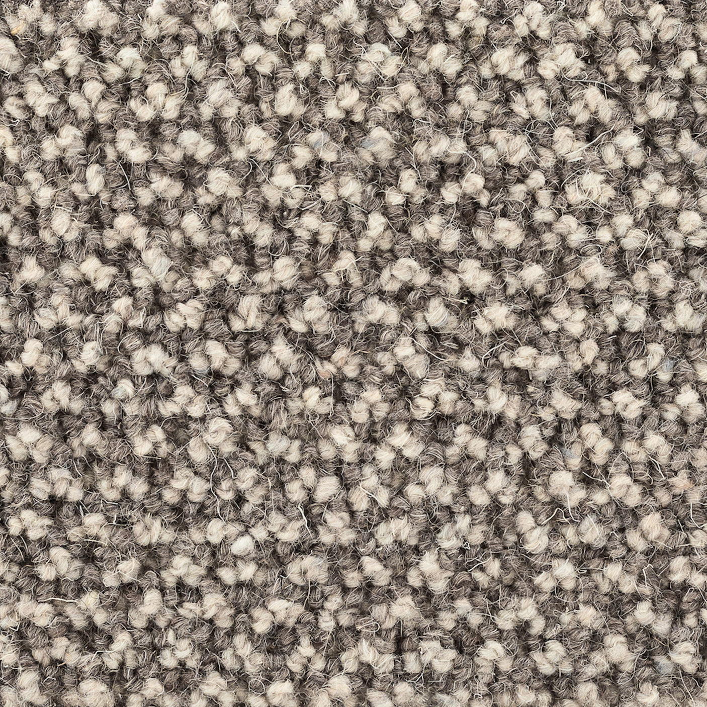 Poppy Wool Golvabia Teppe
