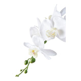 Orchide House Nordic Kunstig plante