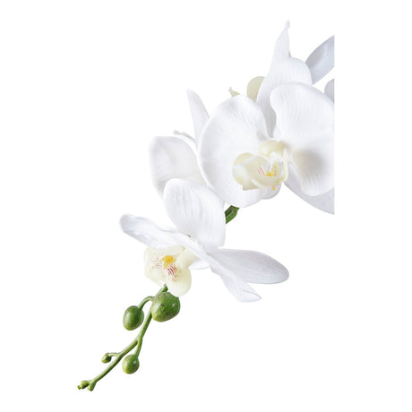 Orchide House Nordic Kunstig plante