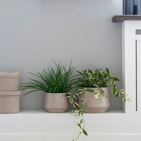 Gress House Nordic Kunstig plante