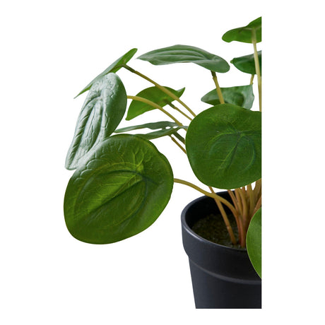 Pelia House Nordic Kunstig plante