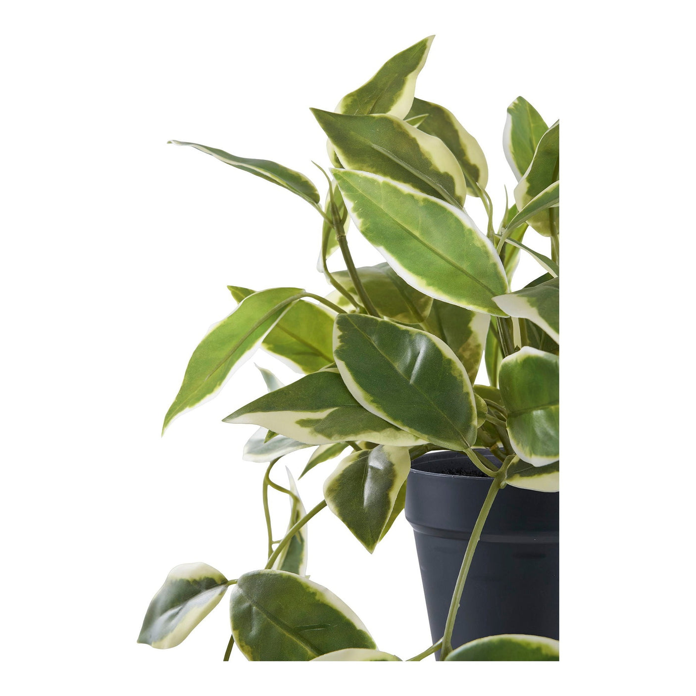 Hoya Carnosa House Nordic Kunstig plante