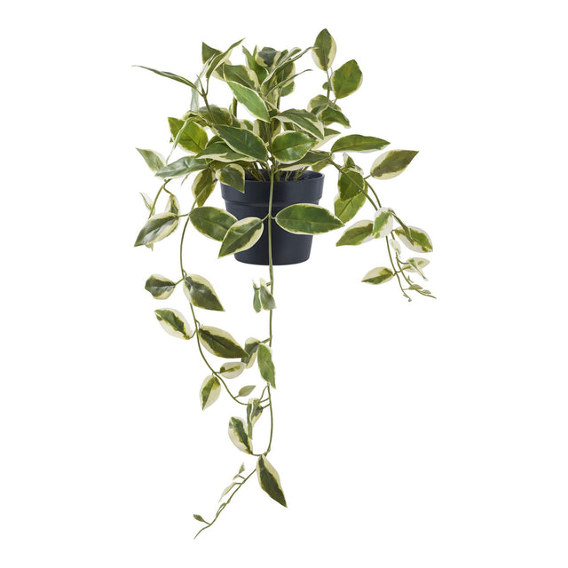 Hoya Carnosa House Nordic Kunstig plante