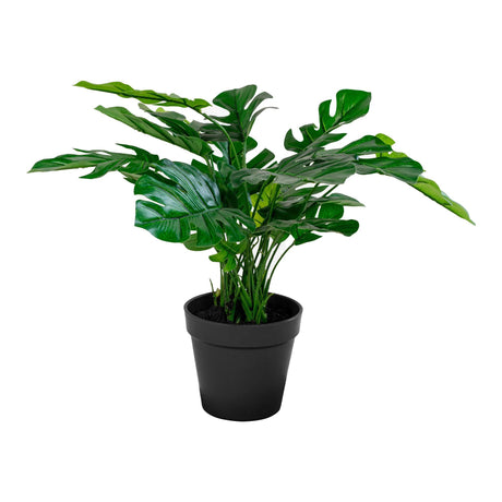 Kunstig plante: Monstera H:45 cm fra House Nordic - Bildenr: 2