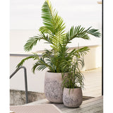 Gress Plante House Nordic Planter
