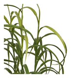 Gress Plante House Nordic Planter