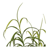 Gress Plante House Nordic Planter