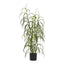 Gress Plante House Nordic Planter