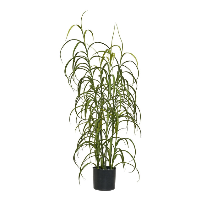 Gress Plante House Nordic Planter