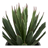 Agave Plante House Nordic Planter