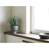 Agave Plante House Nordic Planter