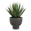 Agave Plante House Nordic Planter