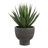 Agave Plante House Nordic Planter