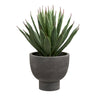 Agave Plante House Nordic Planter