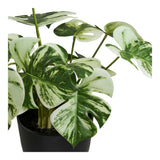 Monstera House Nordic Planter