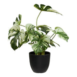 Monstera House Nordic Planter