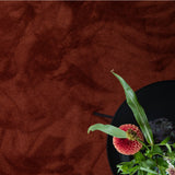 Astoria Accent Golvabia Teppe