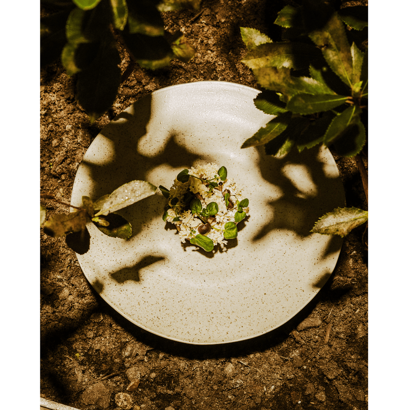 GRAINY keramiske middagsbord - ø28 cm - sand Nordal TABLEWARE