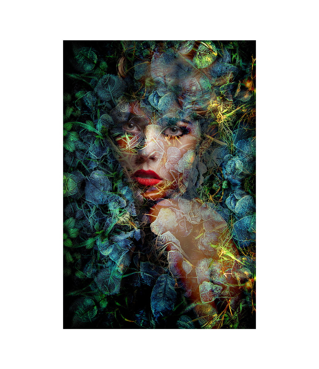 BLUE AUTUMN Artwood Bilde