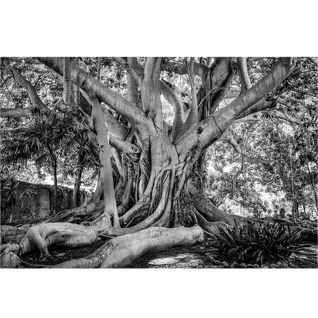 GAMLE TRE SICILIA fototavla - 150x100 Artwood Tavlor