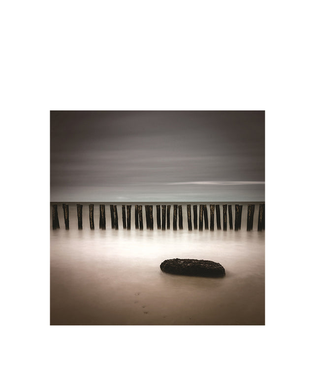 TREKYST fototavla - 100x100 Artwood Tavlor