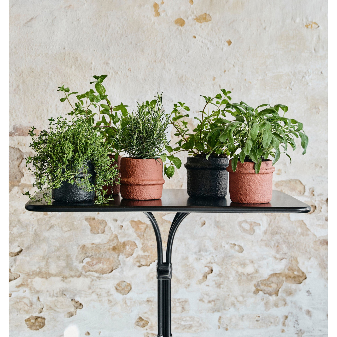 Rød sementpotte, nr. 3 - svart Nordal INDOOR POT